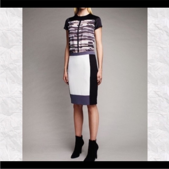 Narciso Rodriguez Color Block Pencil Skirt Sz 8 NWT - Picture 2 of 8